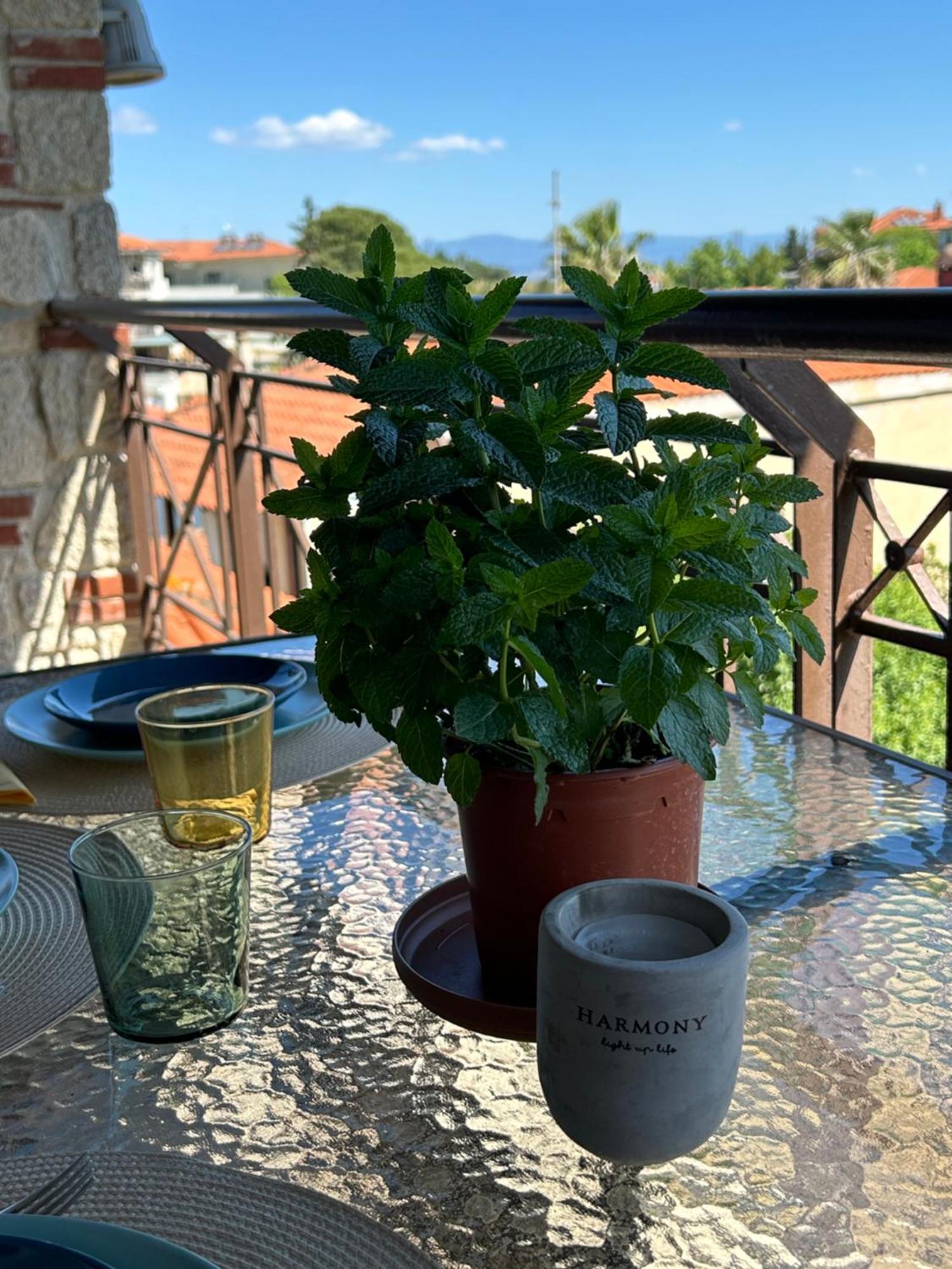 Stone House In Afytos Apartment Екстериор снимка